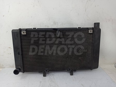 Radiador de agua Honda CBF 600 2008 - 2010