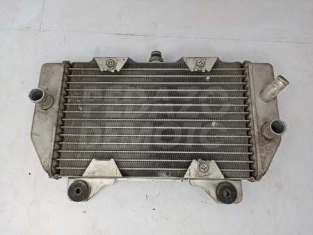 Radiador de agua Honda Forza 250 2005 - 2008