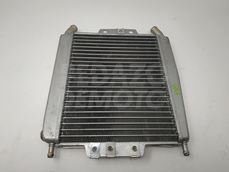 Radiador de agua Piaggio X7 300